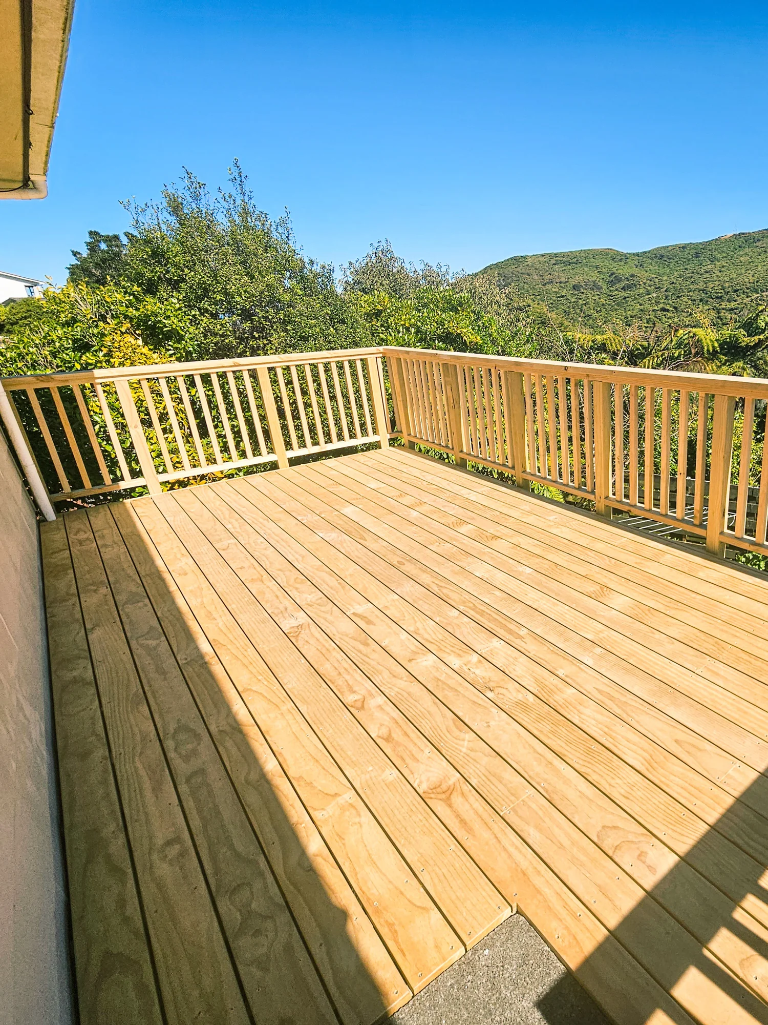 A sunlit timber deck overlooking Wellington’s green hills